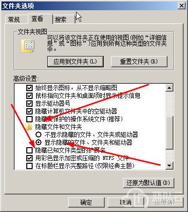 04.jpg